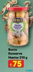 BURCU KONSERVE MANTAR 310 G fiyat ve kampanya bilgisi